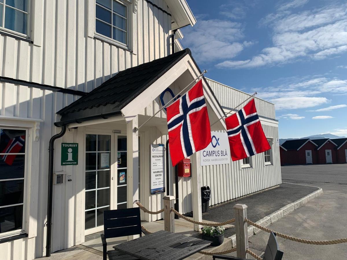 Norsk Havbrukssenter - Rorbuer Hotel Bronnoysund Bagian luar foto