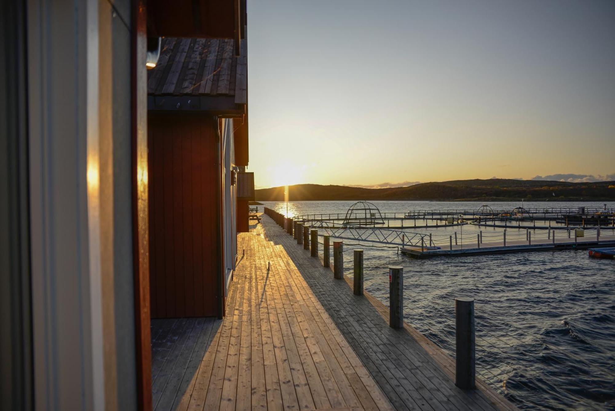 Norsk Havbrukssenter - Rorbuer Hotel Bronnoysund Bagian luar foto